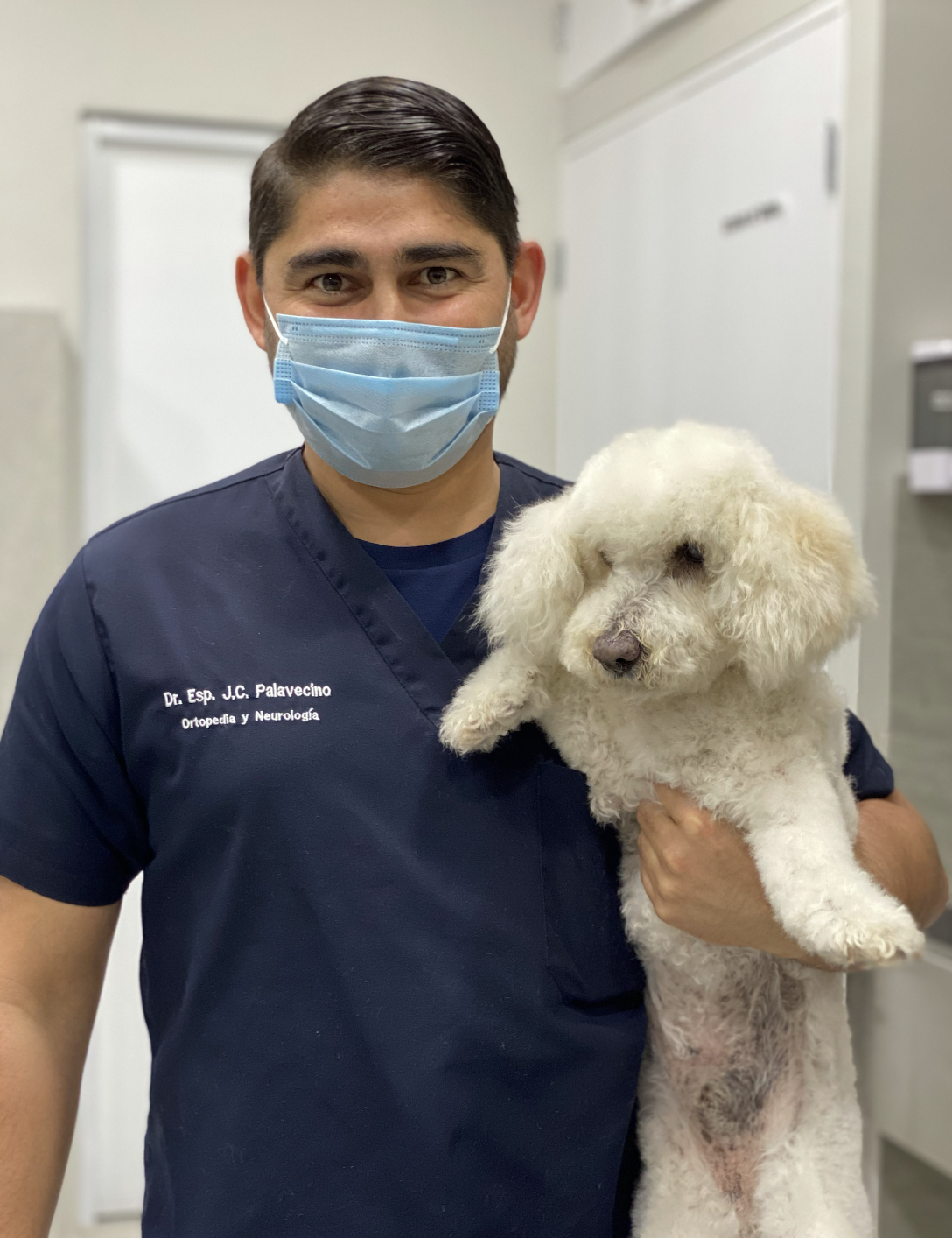 Dr Palavecino Traumatologo veterinario en Monterrey